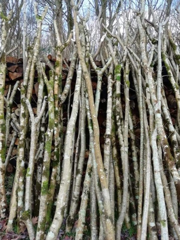 Washing Line Props, 6ft, per each